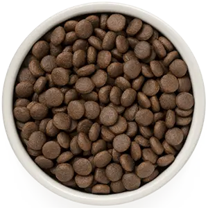Grandorf 4 Meat - Adult Medium & Maxi Breeds 3kg