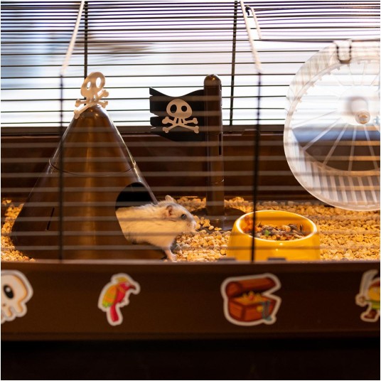 Ferplast Klatka CRICETI 9 PIRATES 46x29,5x23cm -zdjęcie numer 10