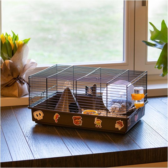 Ferplast Klatka CRICETI 9 PIRATES 46x29,5x23cm -zdjęcie numer 4