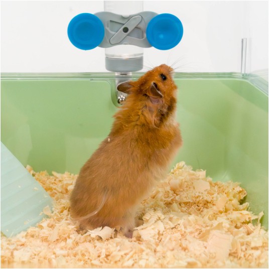 Klatka Ferplast Mini Duna Hamster, zielona -zdjęcie numer 3