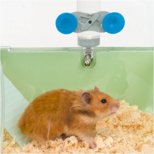 Klatka Ferplast Mini Duna Hamster, zielona -zdjęcie numer 4