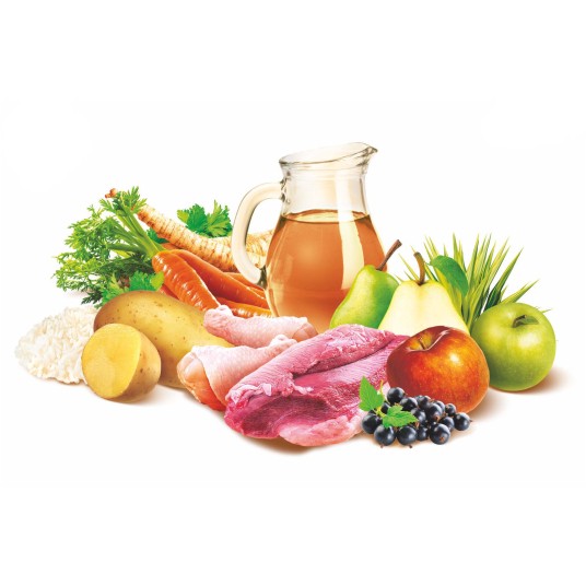 Sams Field Gluten Free Adult Large Goose & Turkey, karma superpremium 2,5 kg/5 -zdjęcie numer 7