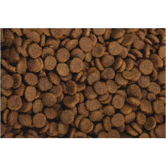 Sams Field Gluten Free Adult Large Goose & Turkey, karma superpremium 2,5 kg/5 -zdjęcie numer 6
