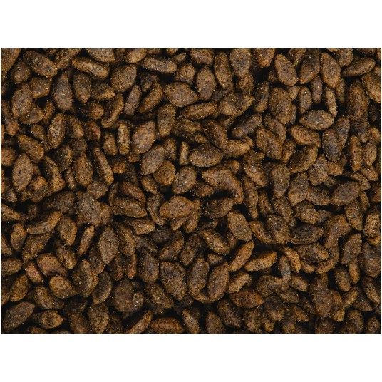 Sams Field Grain Free Beef (Angus), karma superpremium 800 g/12 -zdjęcie numer 4