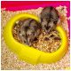 Ferplast Klatka LAURA 46x29,5x37,5cm -zdjęcie numer 5