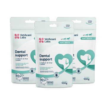 2+1 DENTAL support przysmaki funkcyjne 100g
