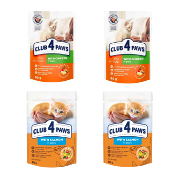 3+1 C4P Prem. KOCIĘTA Mokra 2x9305+2x8927