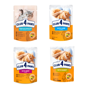 3+1 C4P Prem. KOT Mokra - 9282+4270+8903+2565