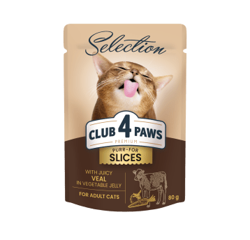 CLUB 4 PAWS Premium Kot karma mokra- cielęcina w galaretce 80g/12