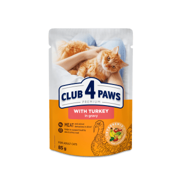CLUB 4 PAWS Premium Kot karma mokra- indyk w sosie 85g/24