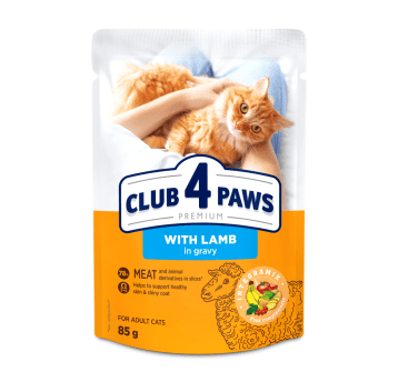 CLUB 4 PAWS Premium Kot karma mokra- jagnięcina w sosie 85g/24