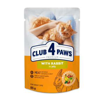 CLUB 4 PAWS Premium Kot karma mokra- królik w galaretce 85g/24