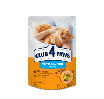 CLUB 4 PAWS Premium Kot karma mokra- łosoś w sosie 85g/24