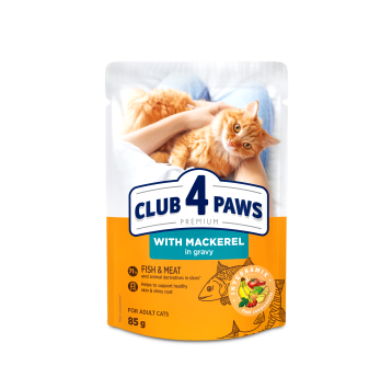 CLUB 4 PAWS Premium Kot karma mokra- makrela w sosie 85g/24