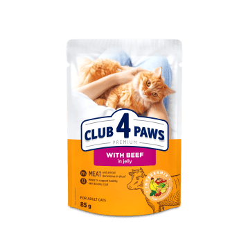 CLUB 4 PAWS Premium Kot karma mokra- wołowina w galaretce 85g/24