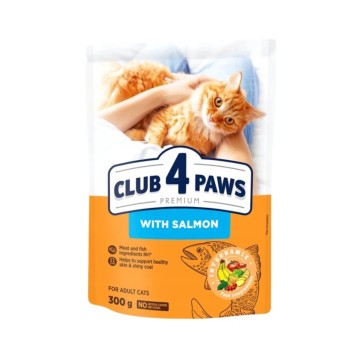 CLUB 4 PAWS Premium Kot karma sucha- z łososiem 300g/15