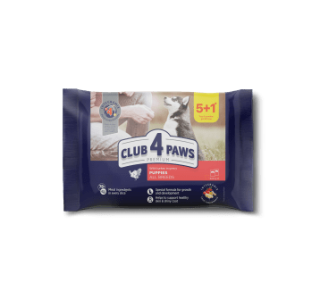 CLUB 4 PAWS SET Premium Szczenię karma mokra- indyk w sosie 6x80g