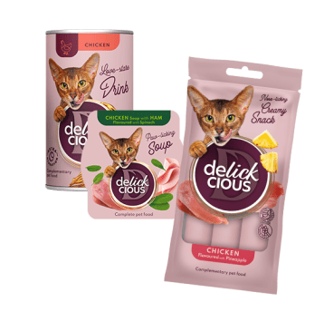 DC KOT Pakiet 1582+1599+1629 2+1