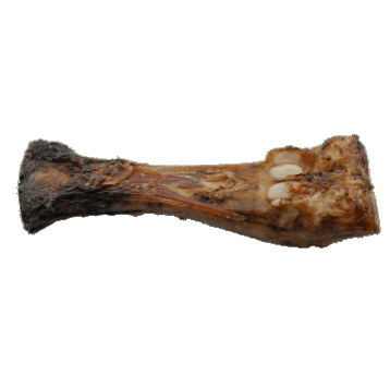 ideaPet przysmak Kość wołowa stopa 1 szt ok. 32 cm