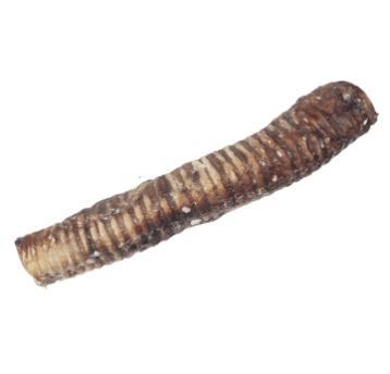 ideaPet przysmak Tchawica 35 cm 1 szt