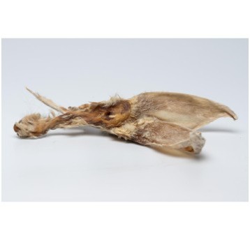 ideaPet przysmak Ucho królika z futrem 2 szt